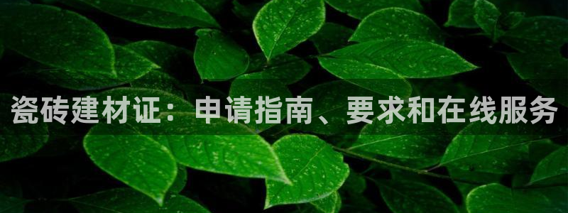 杏鑫平台广7O777