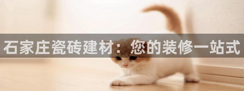 杏鑫平台号7O777