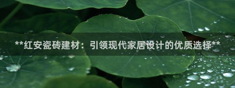 杏鑫平台招商