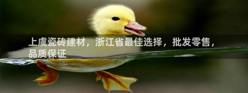 杏鑫平台代理注册多少钱一个