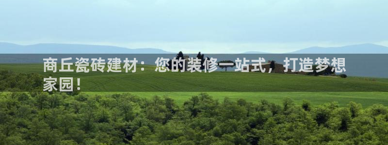 杏鑫娱乐开发团队