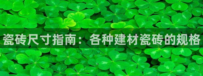 杏鑫招商总代