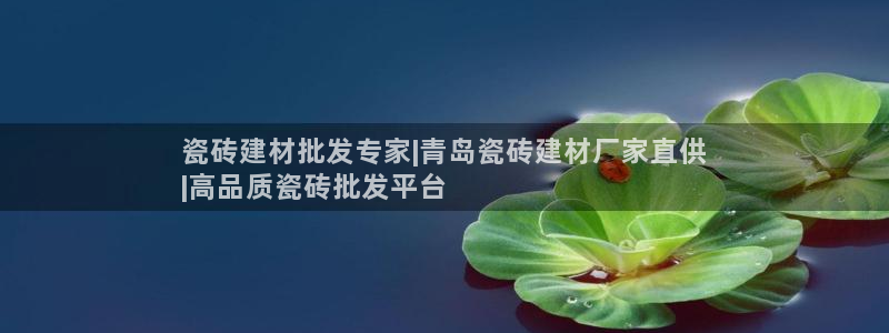 杏鑫平台代理注册流程图