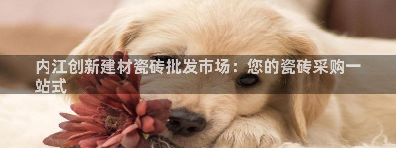 杏鑫平台代理怎么样啊