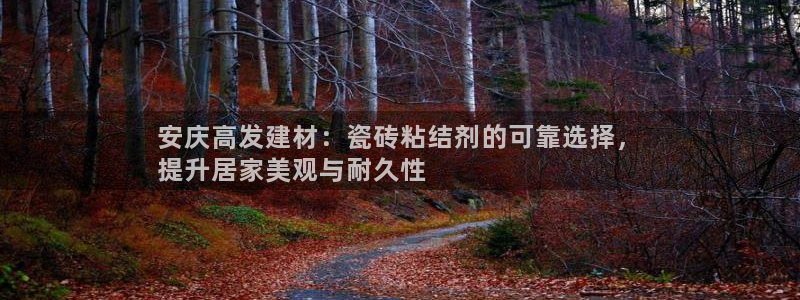 杏鑫平台登陆