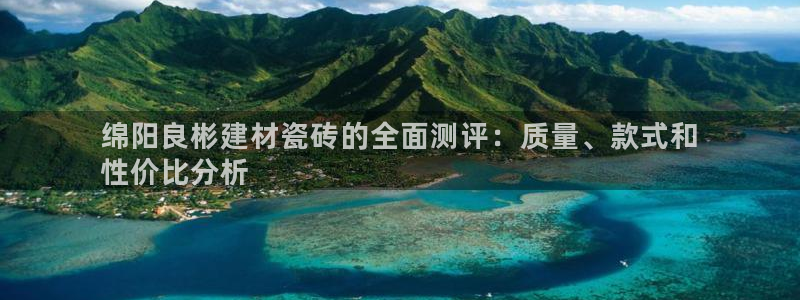 杏鑫平台代理注册流程图