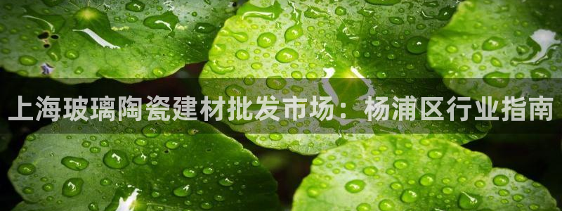 杏鑫平台招商