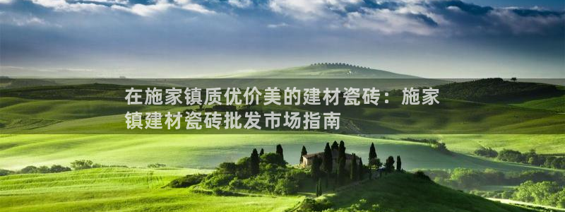 杏鑫平台代理注册流程