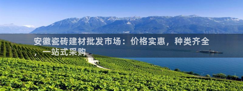 杏鑫平台登陆