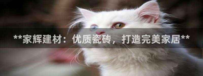 杏鑫娱乐靠谱吗