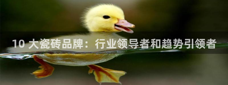 杏鑫平台代理注册流程