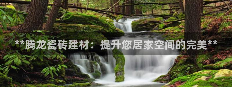 杏鑫娱乐怎么样