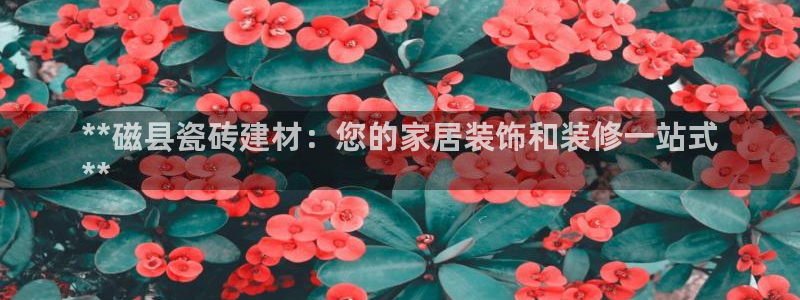 杏鑫平台注册登录