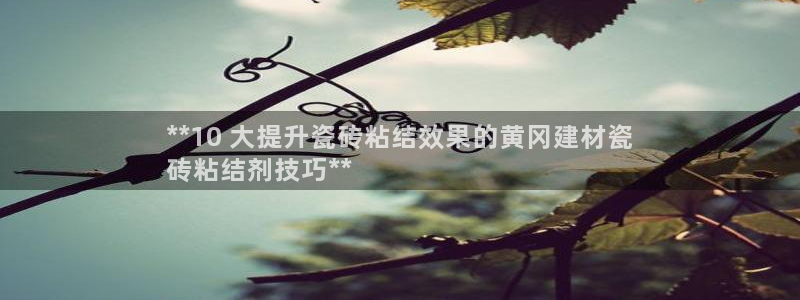 杏鑫平台代理注册流程视频