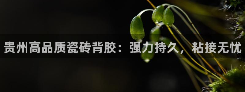 杏鑫平台代理注册要钱吗