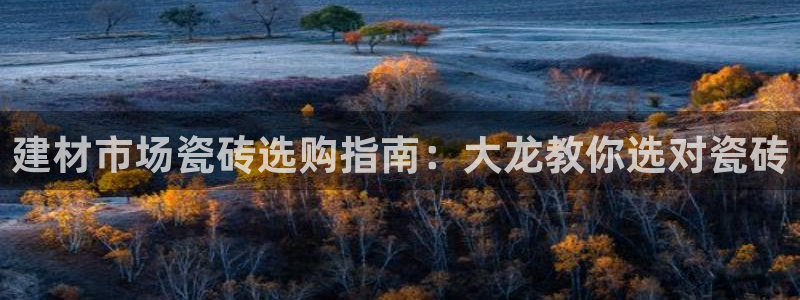 杏鑫招商总代
