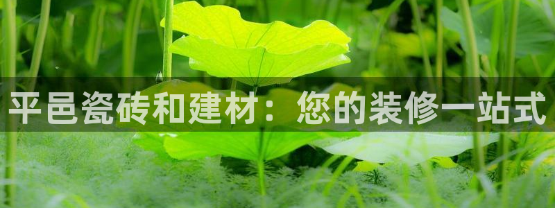 杏鑫平台提供