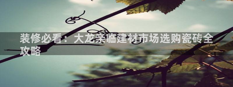 杏鑫注册平台官方网站