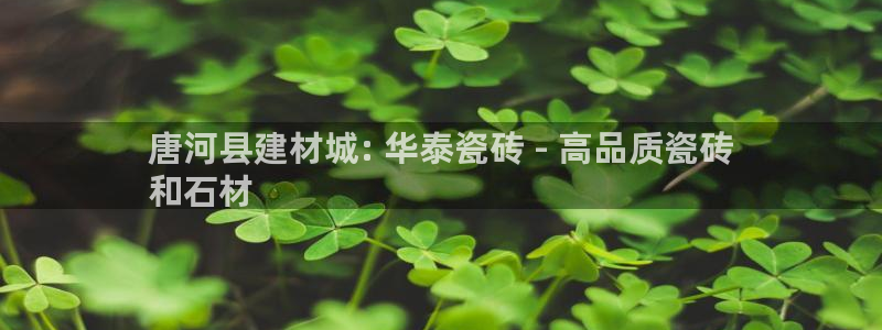 杏鑫平台注册登录