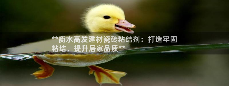 杏鑫平台怎么样黑钱吗知乎