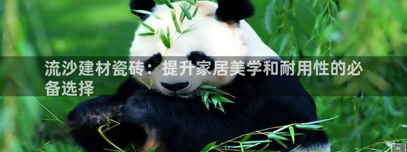 杏鑫娱乐负责人