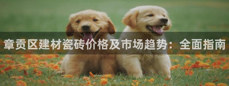 杏鑫平台怎么样黑钱吗