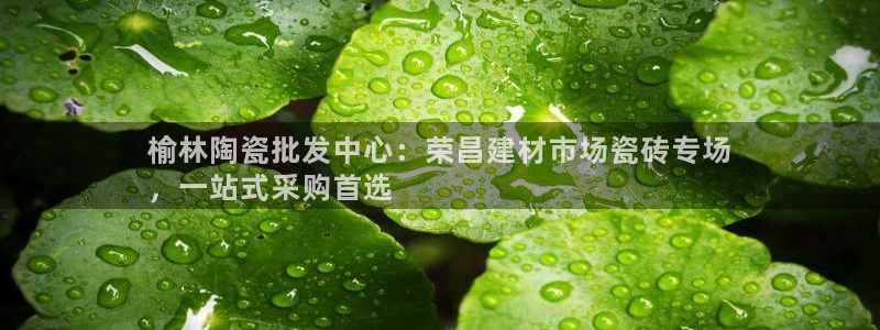 杏鑫平台登陆