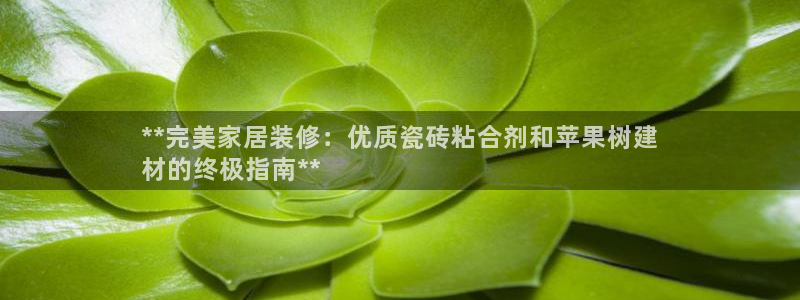 杏鑫主管