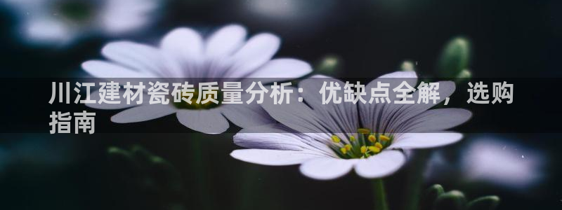 杏鑫平台在线注册怎么注册