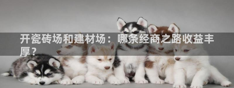 杏鑫平台注册网址是什么