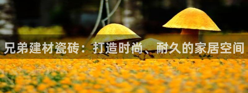 杏鑫平台代理怎么做赚钱