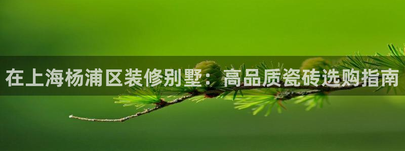 杏鑫娱乐是合法的吗?