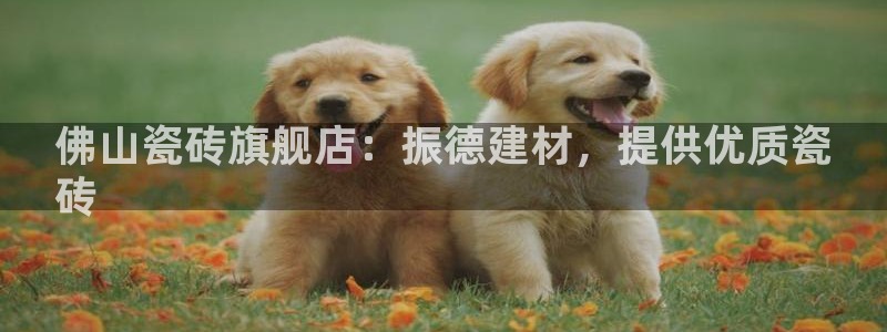 杏鑫平台代理怎么样赚钱