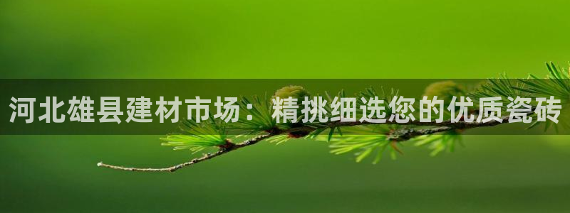 杏鑫平台测速
