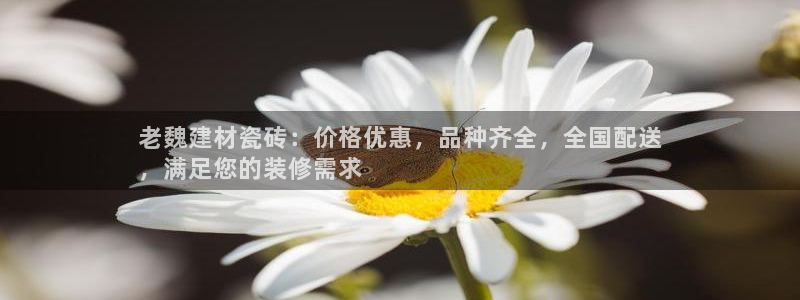 杏鑫官网注册账号怎么注册