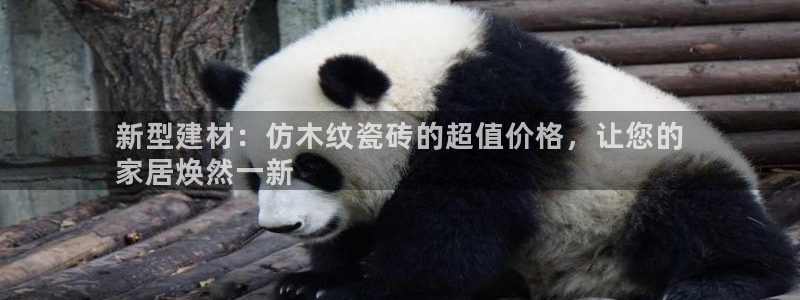 杏鑫平台代理注册流程视频