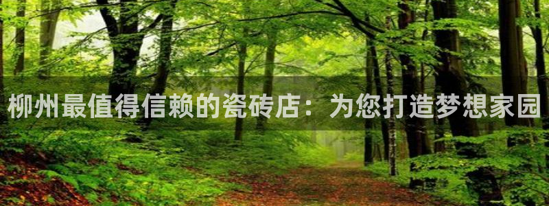 杏鑫官网最新信息新闻