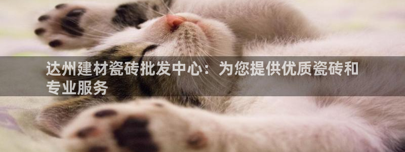 杏鑫平台野马联盟怎么样