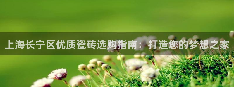杏鑫平台代理怎么样