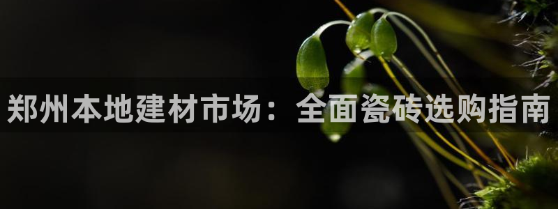 杏鑫平台怎么样黑钱吗