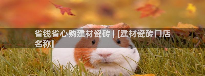 杏鑫娱乐负责人