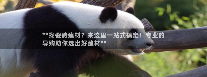 杏鑫平台直属