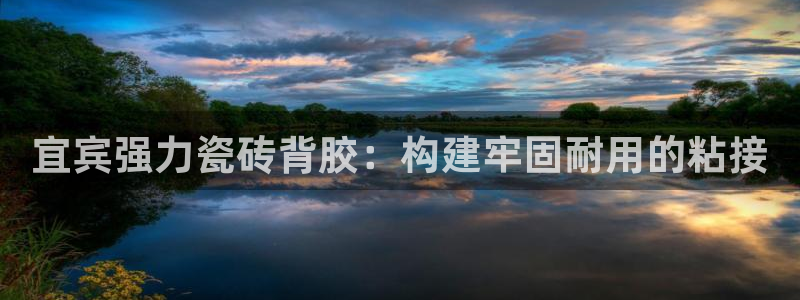 杏鑫平台代理注册流程图