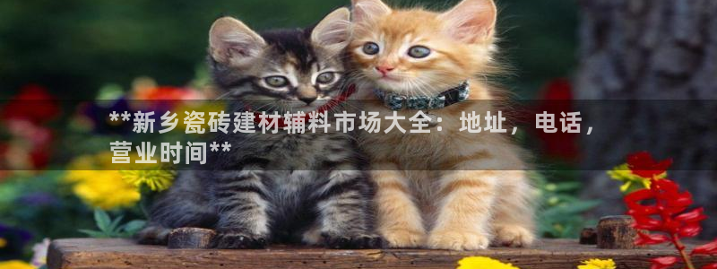 杏鑫官网最新信息新闻