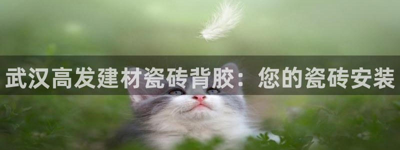杏鑫官网最新信息