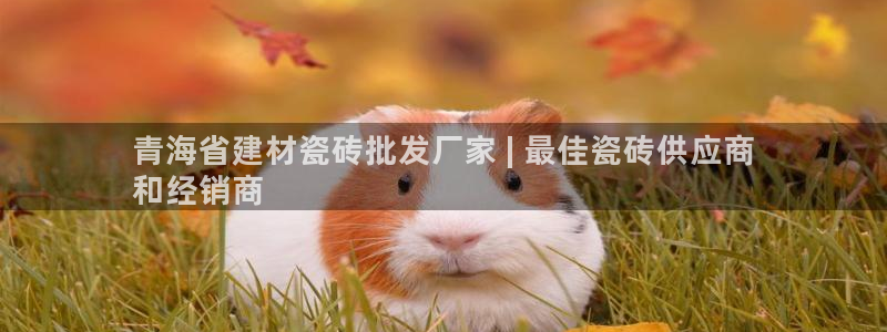 杏鑫平台代理注册多少钱一年