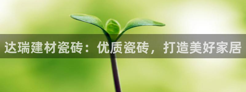 杏鑫官方平台怎么样啊