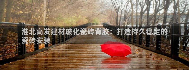 杏鑫平台招商电话是多少