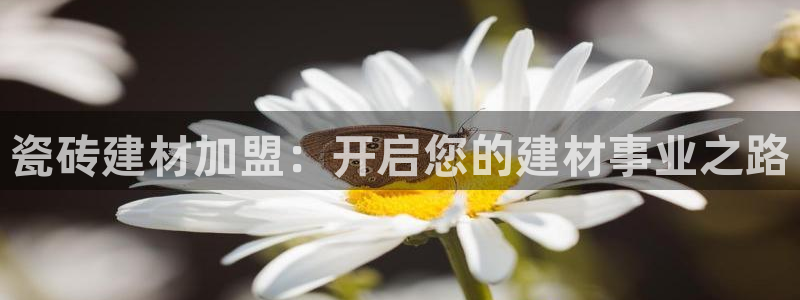 杏鑫官方平台怎么样啊可靠吗