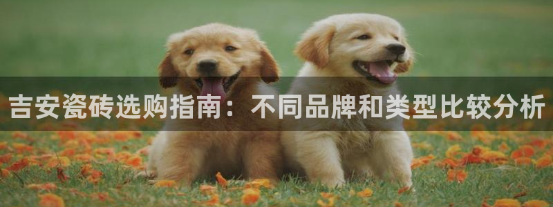 杏鑫娱乐是真的吗还是假的
